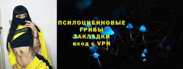 бошки Аркадак