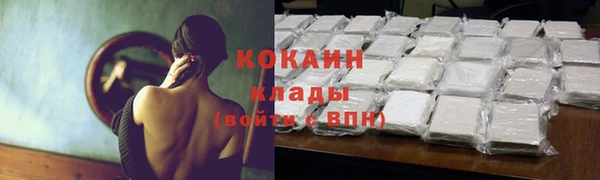 бошки Аркадак