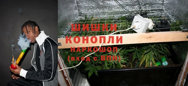 мет Арсеньев