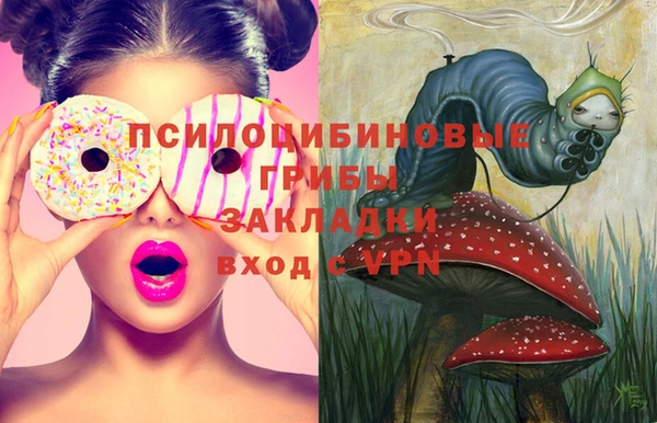 бошки Аркадак