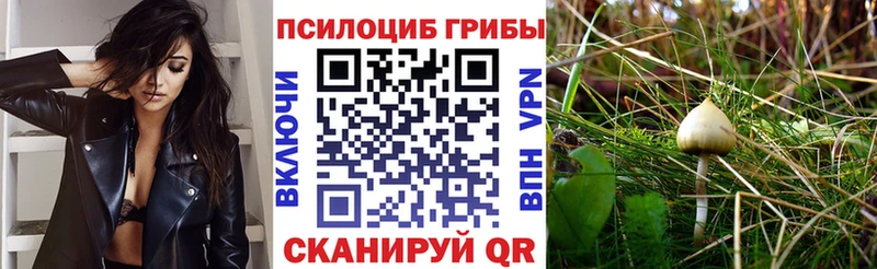 МЕГА как войти  Аша  Псилоцибиновые грибы ЛСД 
